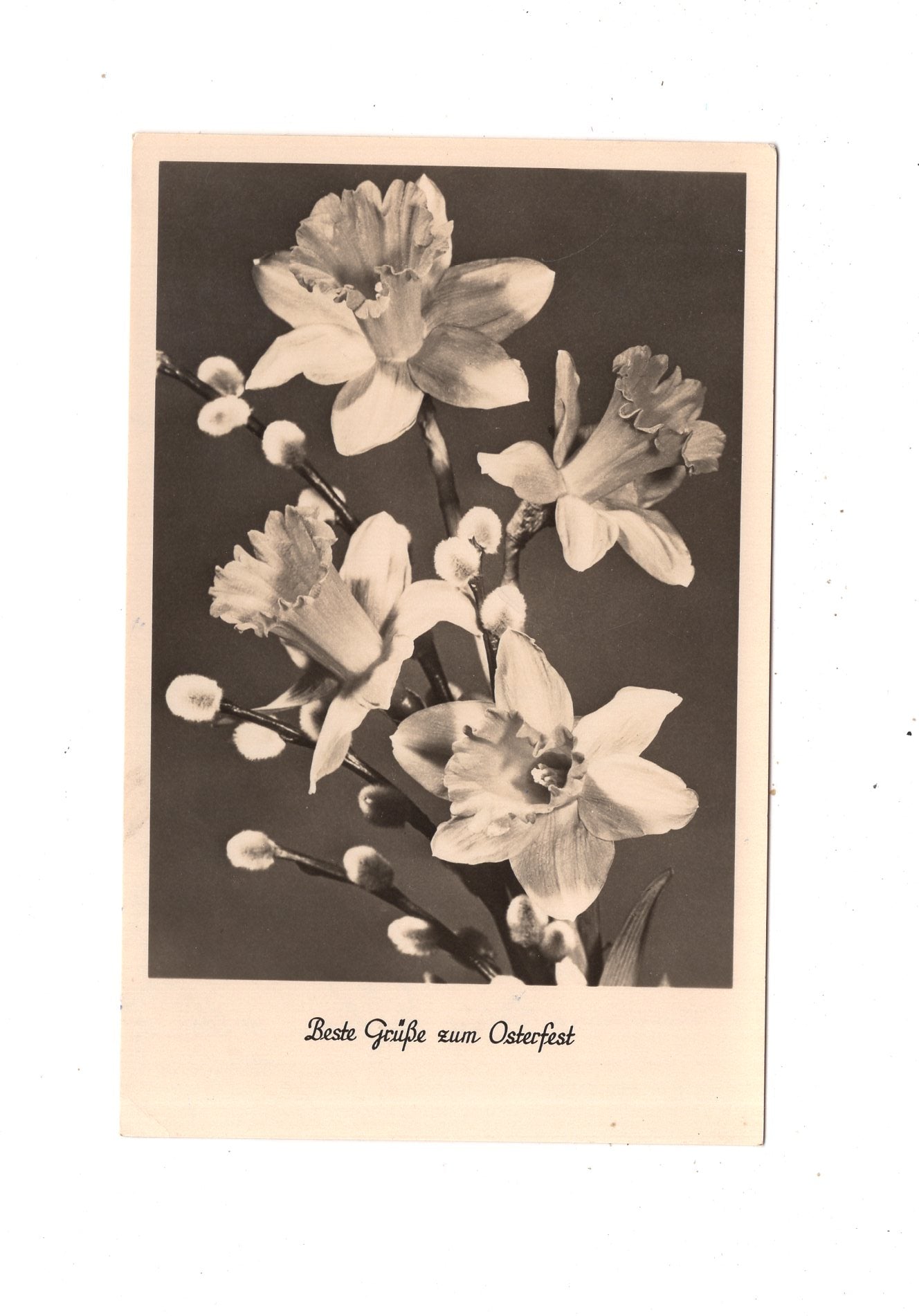 Ansichtskarte Feiertage / Frohe Ostern / L1-55