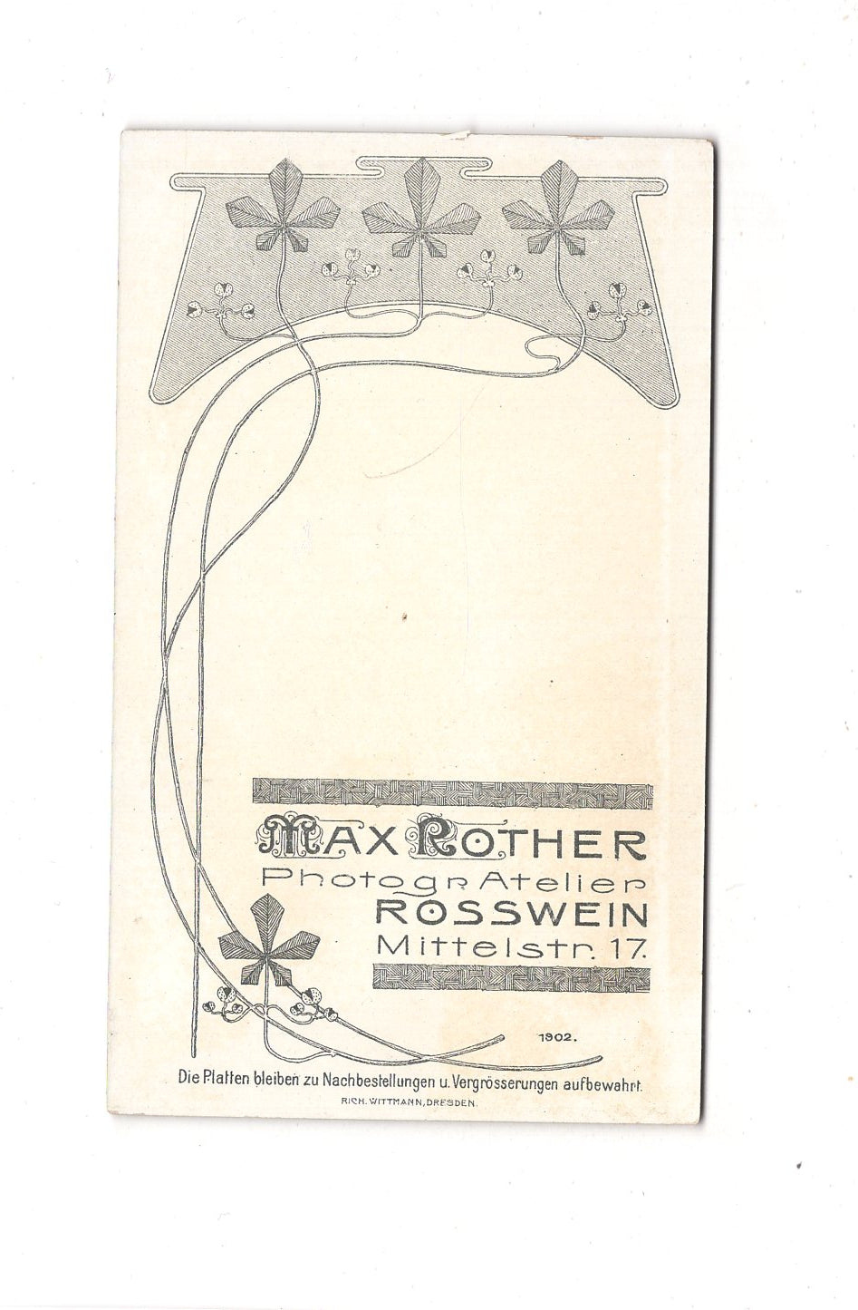 Fotografie Damenportrait - Roßwein 1890er / CDV C1-02