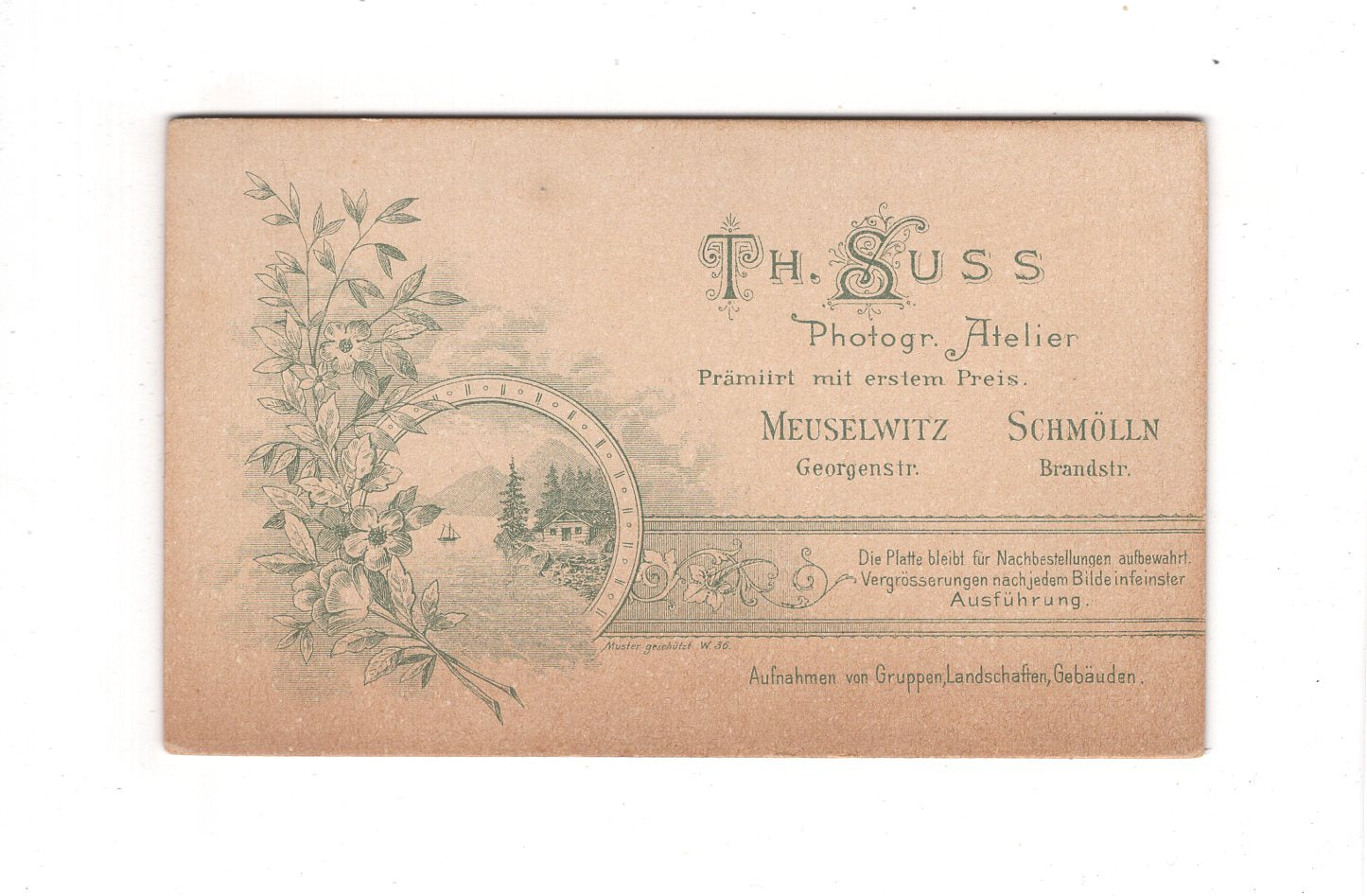 Fotografie Herrenportrait - Meuselwitz / Schmölln 1890er / CDV C1-20