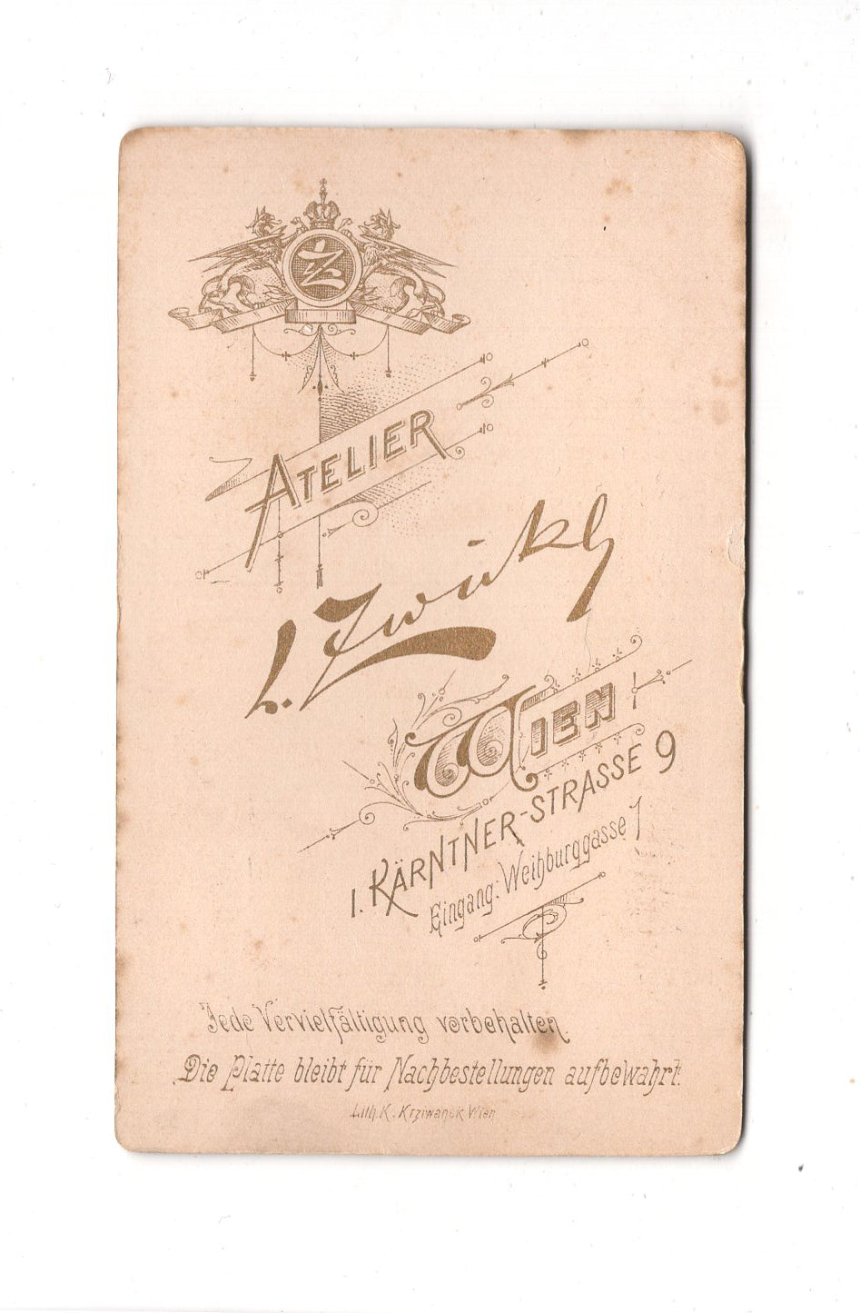 Fotografie Damenportrait - Wien 1890er / CDV C1-02