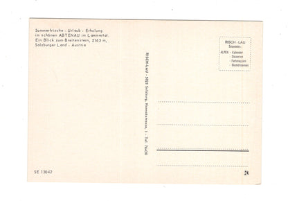 Ansichtskarte Abtenau im Lammertal / Salzburger Land / Österreich