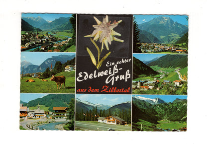 Ansichtskarte Zillertal / Tirol / Österreich