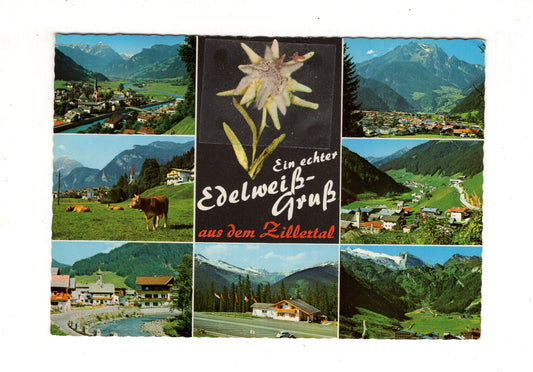 Ansichtskarte Zillertal / Tirol / Österreich
