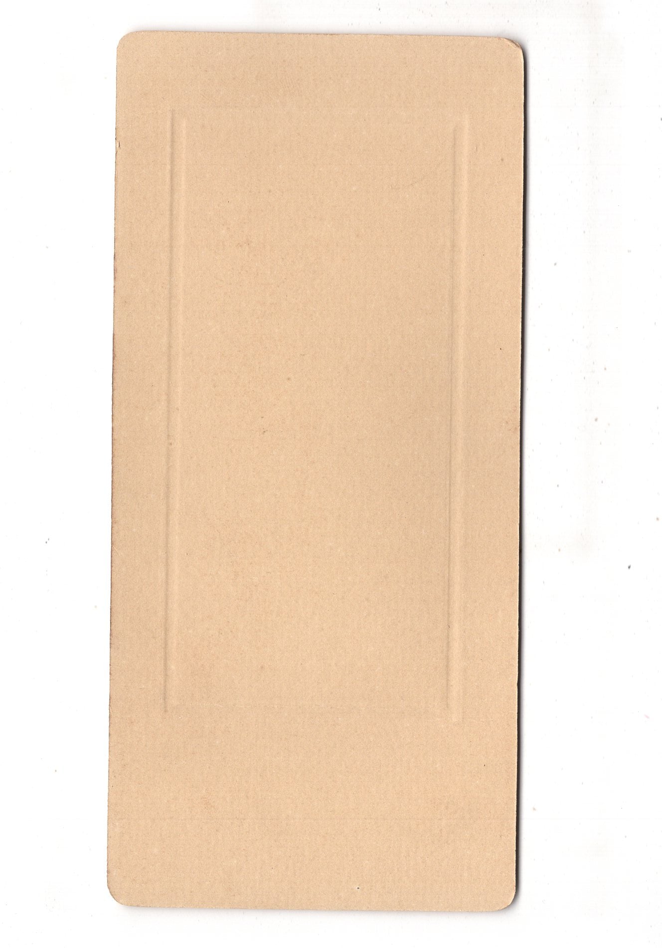 Fotografie Feine Dame - Hameln 1910er / CAB W-21