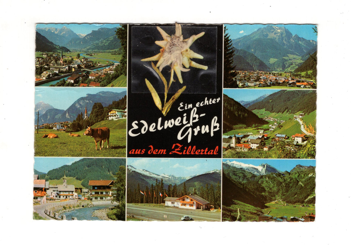 Ansichtskarte Zillertal / Tirol / Österreich