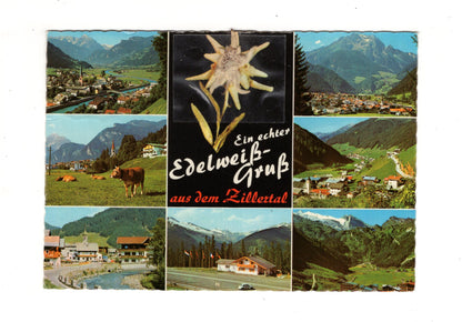 Ansichtskarte Zillertal / Tirol / Österreich