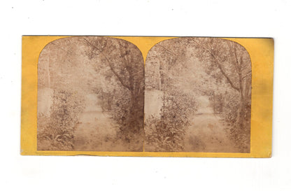 Fotografie Ansicht aus einem Park - unbekannter Ort