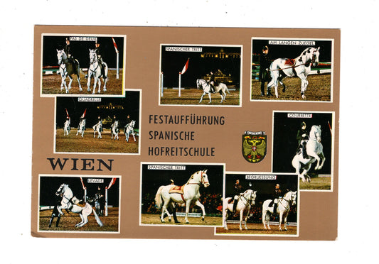 Ansichtskarte Wien / Spanische Hofreitschule / Österreich / N1-64 (Kopie)