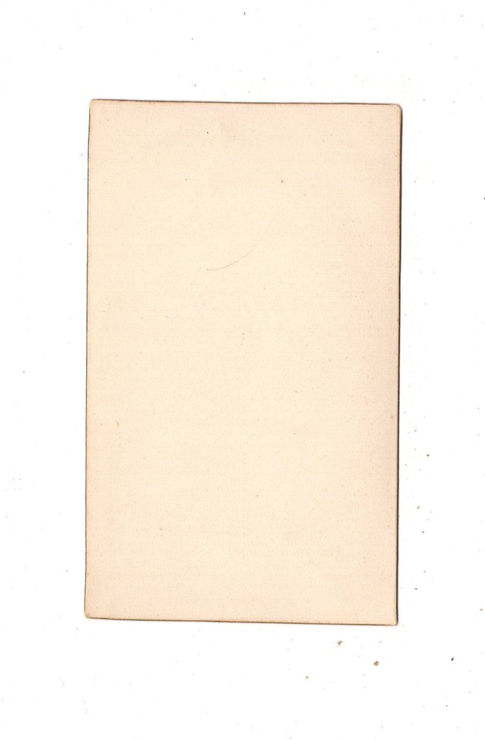Fotografie Damenportrait - unbekannter Ort um 1880 / CDV N1-12