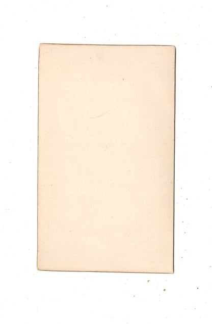 Fotografie Damenportrait - unbekannter Ort um 1880 / CDV N1-12