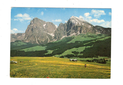 Ansichtskarte Seiseralm / Italien