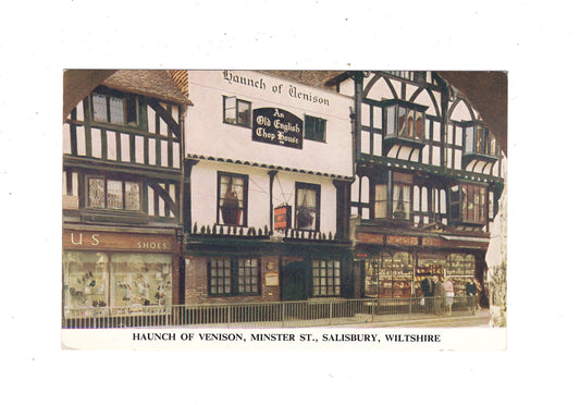 Ansichtskarte Salisbury / Haunch of Venison / England / M1-68