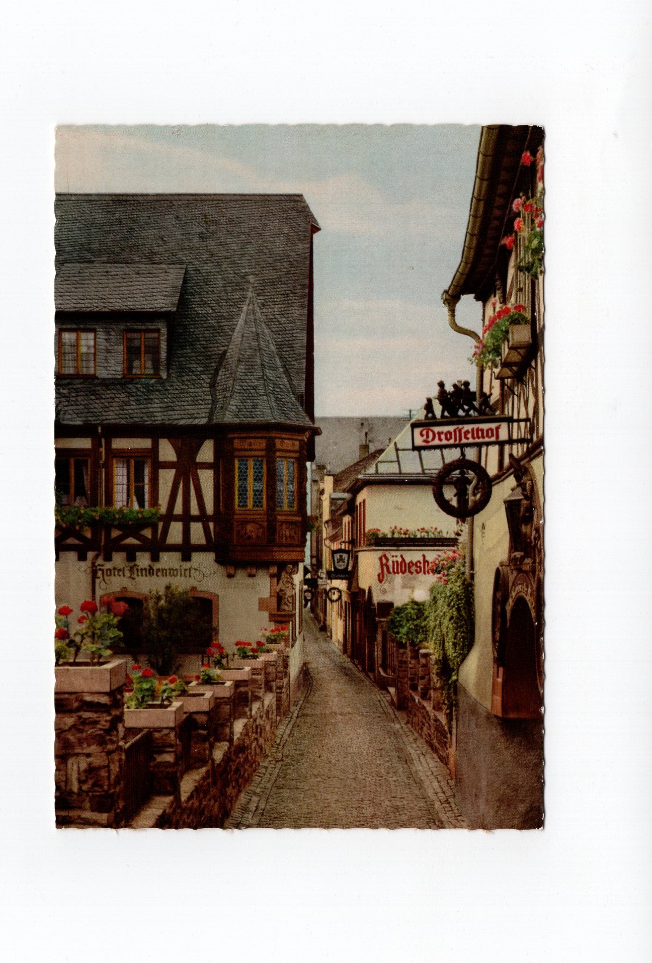 Ansichtskarte Rüdesheim am Rhein / Drosselgasse