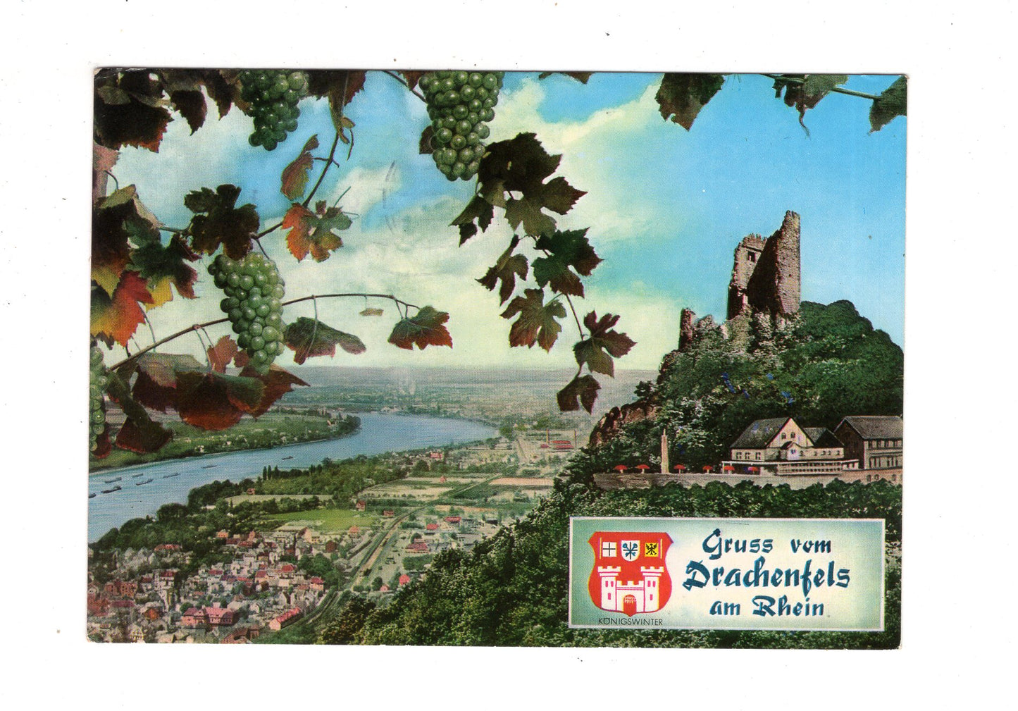 Ansichtskarte Gruß vom Drachenfels am Rhein / M1-62