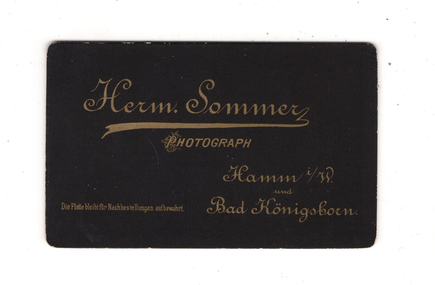Fotografie Damenportrait - Hamm / Bad Königsborn 1880er / CDV N1-12
