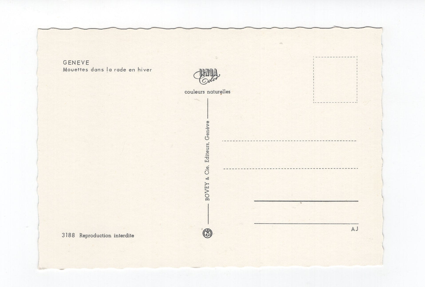 Ansichtskarte Geneve Genf / Mouettes dans la rade en hiver / Schweiz