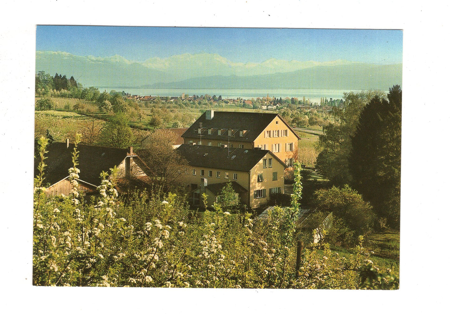 Ansichtskarte Kressbronn am Bodensee / Haus Ottenberg / J1-65