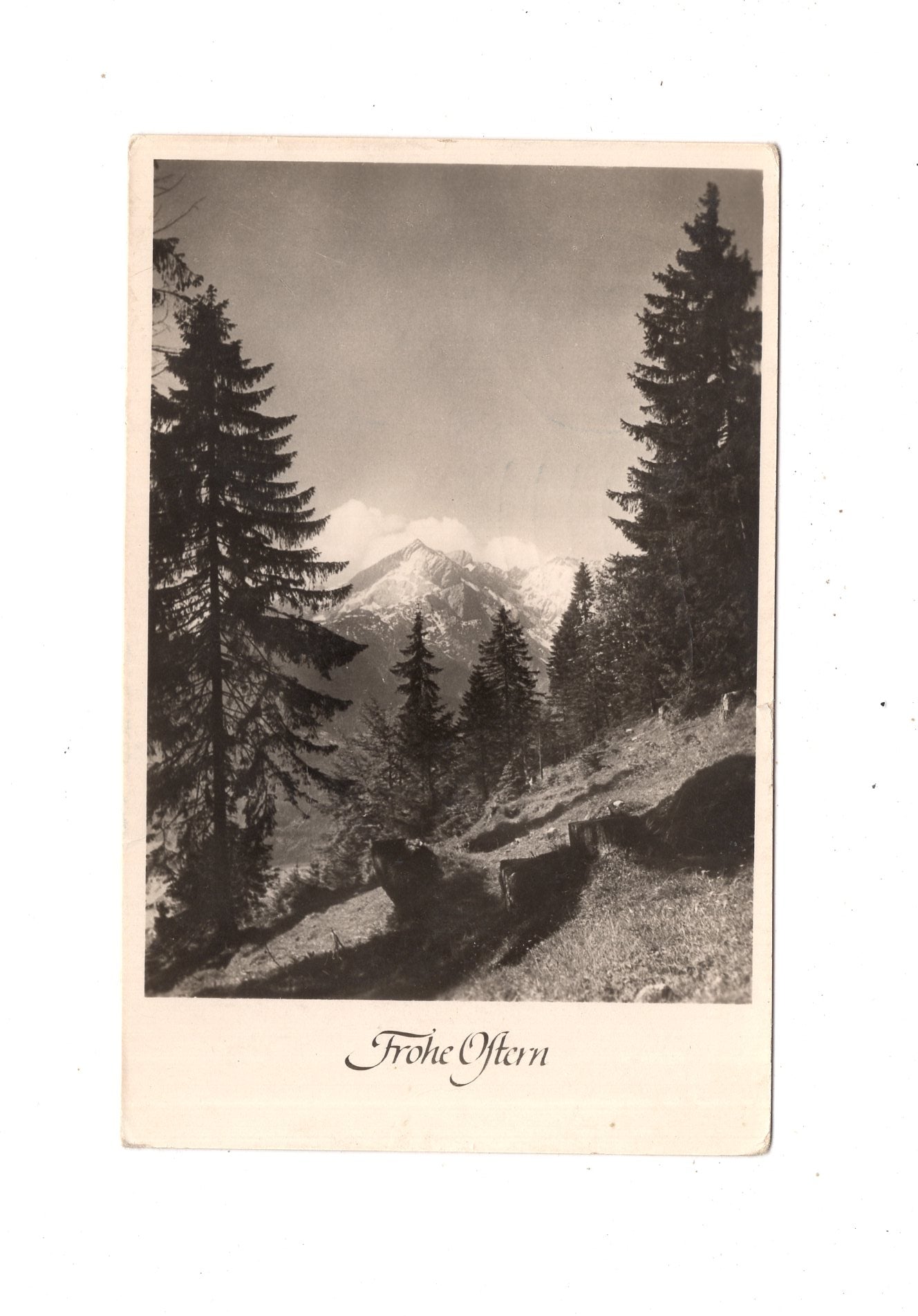 Ansichtskarte Feiertage / Frohe Ostern / L1-56