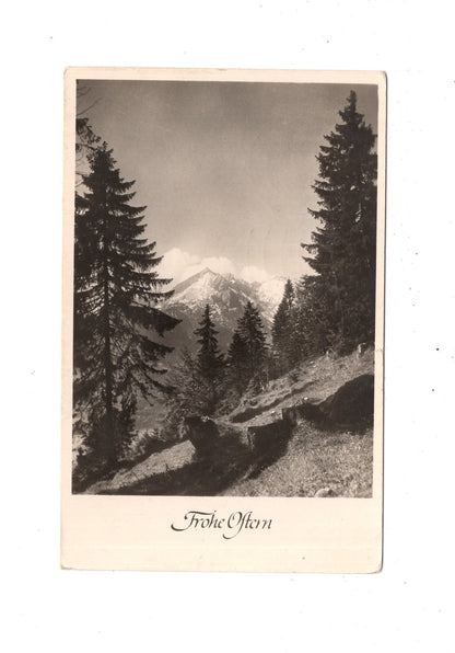 Ansichtskarte Feiertage / Frohe Ostern / L1-56