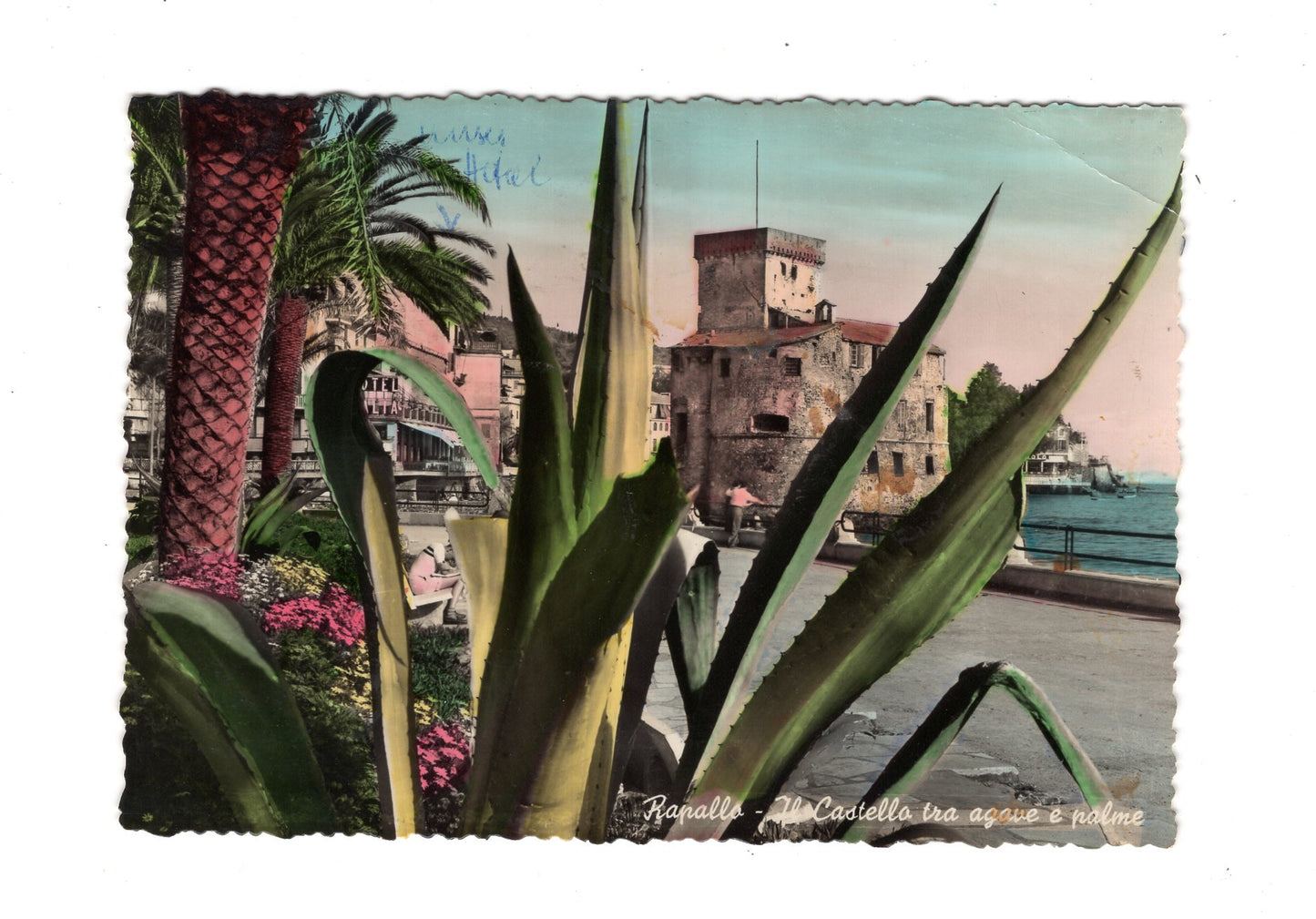 Ansichtskarte Rapallo / Il Castello / Italien