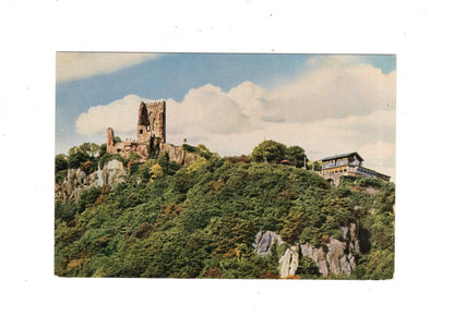 Ansichtskarte Am Rhein / Ruine Drachenfels / M1-63