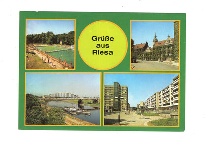 Ansichtskarte Riesa / Freibad / Rathaus +++