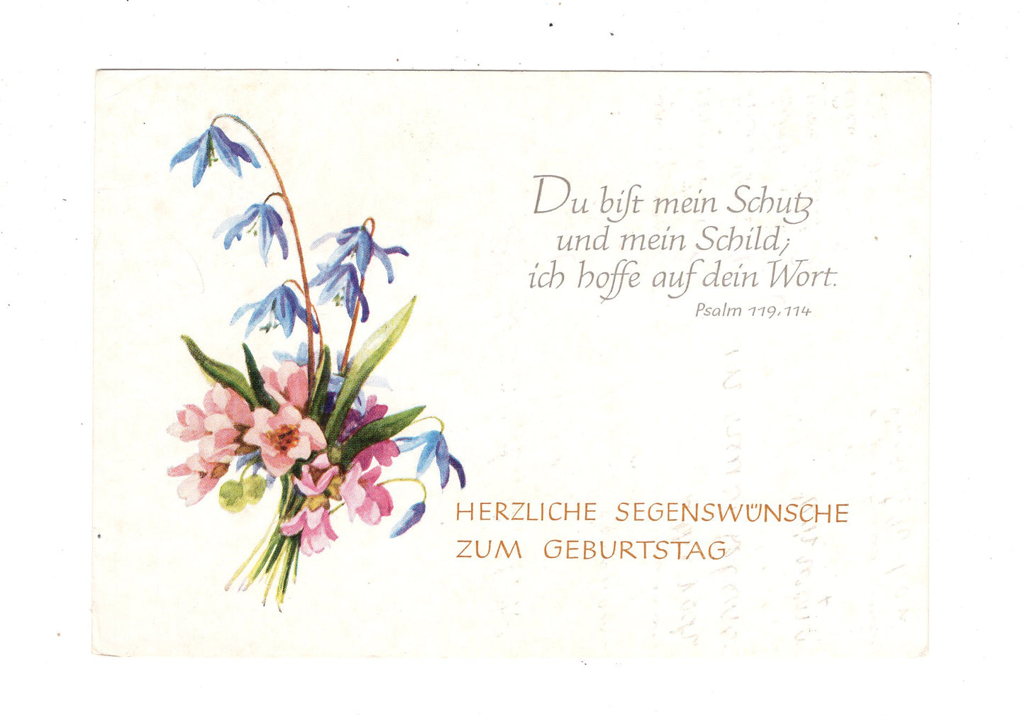 Ansichtskarte Glückwünsche / Glückwunsch zum Geburtstag / L1-56