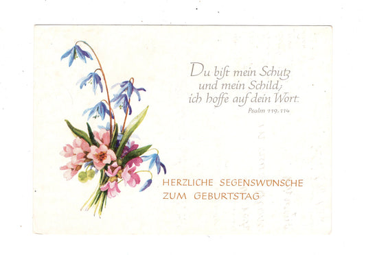 Ansichtskarte Glückwünsche / Glückwunsch zum Geburtstag / L1-56