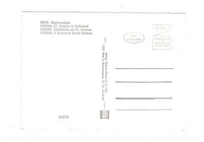 Ansichtskarte Wien / Stephansdom / Österreich / N1-64