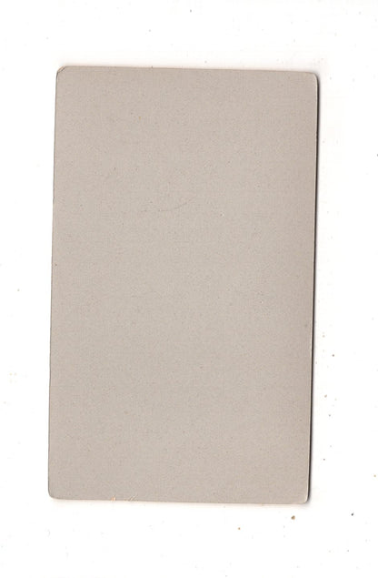 Fotografie Damenportrait - Frankfurt Main um 1900 / CDV N1-12