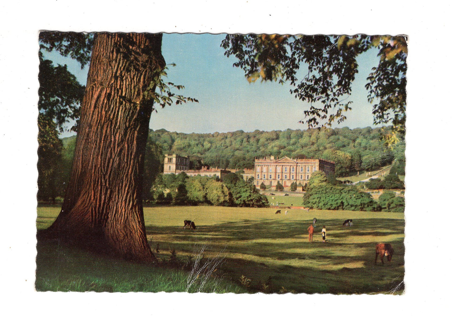 Ansichtskarte Chatsworth House in Derbyshire / England / M1-68