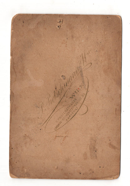 Fotografie Feine Dame mit Baby - Wien 1880er