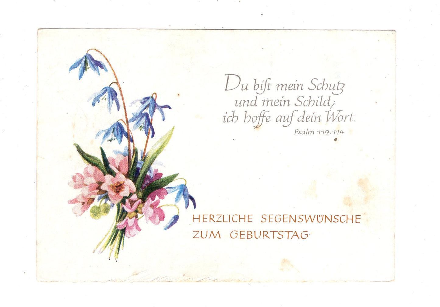 Ansichtskarte Glückwünsche / Glückwunsch zum Geburtstag / L1-56