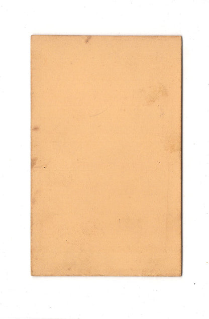 Fotografie Herrenportrait - Hof um 1880 / CDV C1-20