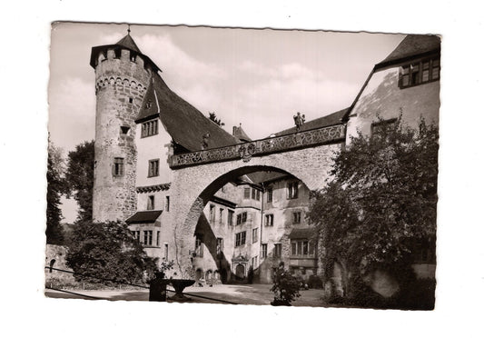Ansichtskarte Steinbach bei Michelstadt / Odenwald / Schloss Fürstenau