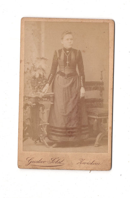 Fotografie Feine Dame - Zwickau 1880er / CDV L1-24