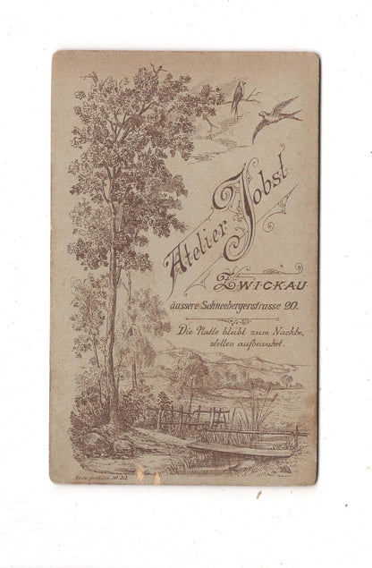 Fotografie Feine Dame - Zwickau 1880er / CDV L1-24