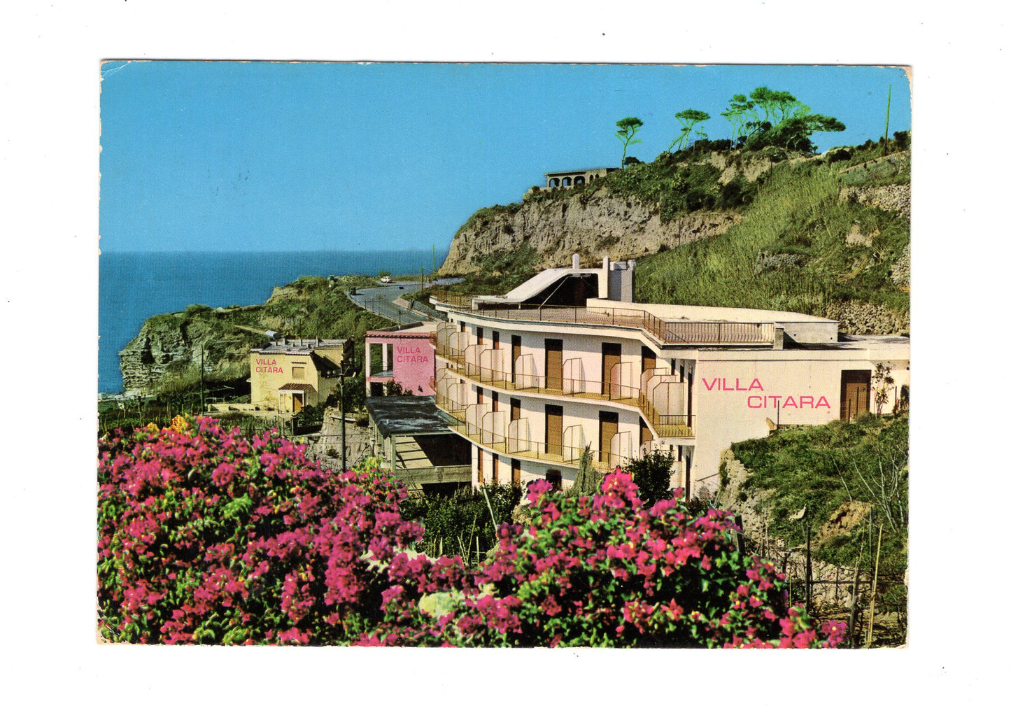 Ansichtskarte Hotel Villa Citara / Forio d´Ischia / Italien