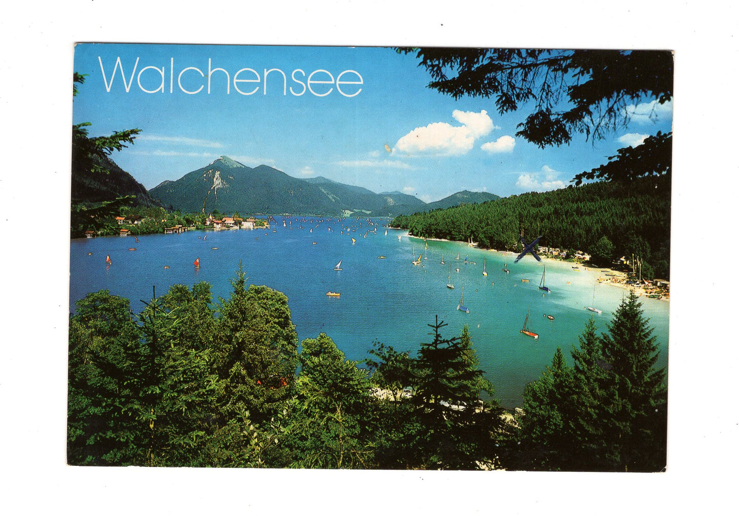 Ansichtskarte Walchensee / Oberbayern