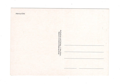 Ansichtskarte Adenau / Eifel