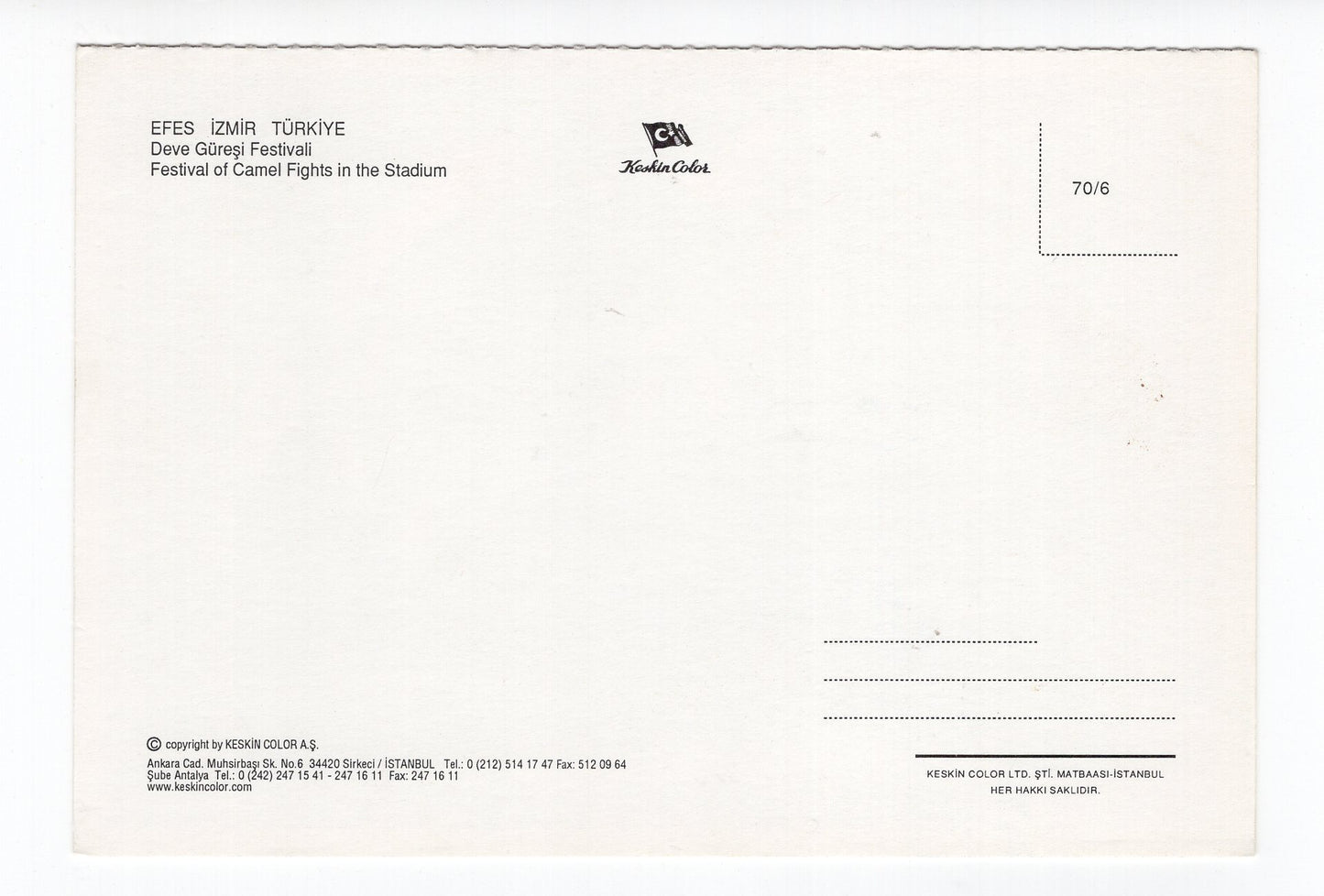 Ansichtskarte Efes / Izmir / Festival of Camel Fights / Türkei