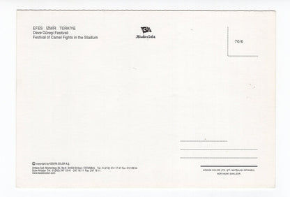 Ansichtskarte Efes / Izmir / Festival of Camel Fights / Türkei
