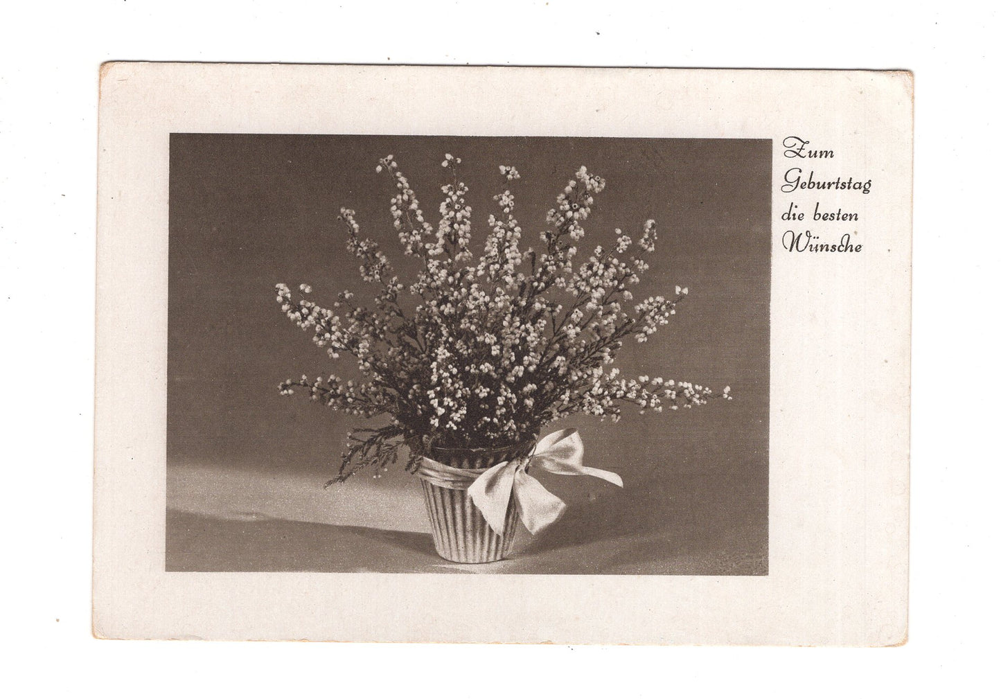 Ansichtskarte Glückwünsche / Glückwunsch zum Geburtstag / L1-56