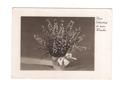 Ansichtskarte Glückwünsche / Glückwunsch zum Geburtstag / L1-56