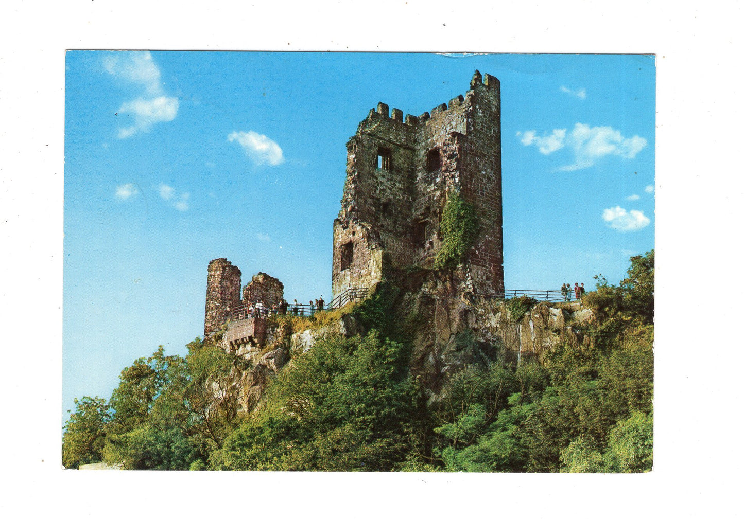 Ansichtskarte Burgruine Drachenfels am Rhein / M1-63