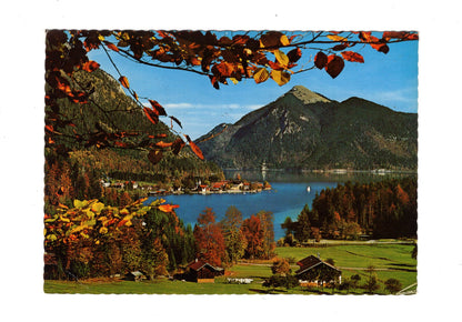 Ansichtskarte Walchensee gegen Jochberg
