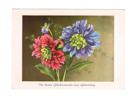 Ansichtskarte Glückwünsche / Glückwunsch zum Geburtstag / L1-56