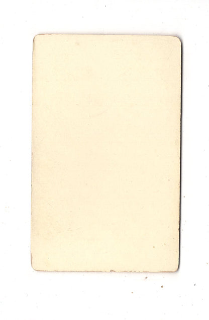 Fotografie Damenportrait - Lünen an der Lippe 1890er / CDV N1-13