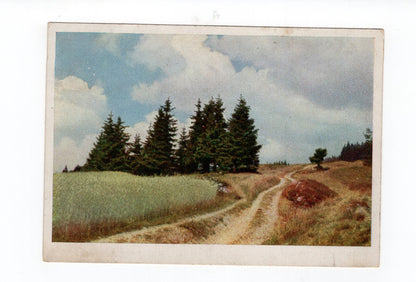 Ansichtskarte Hochmoor im Erzgebirge