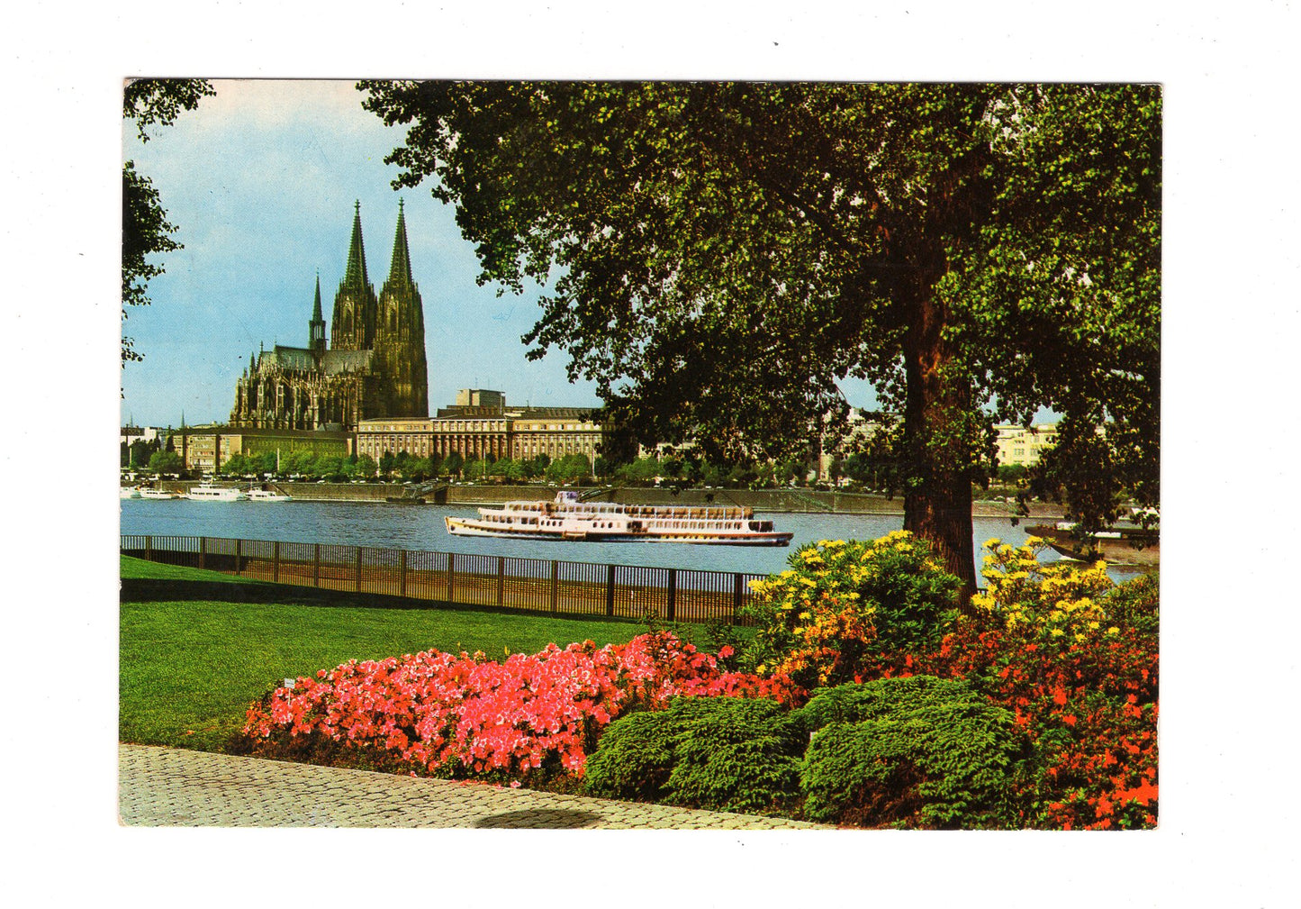 Ansichtskarte Köln am Rhein / Blick vom Rheinpark zum Dom / G1-58